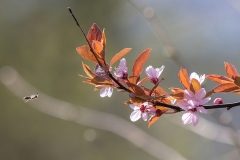 Bernard_Legros-OIL-05_2022-01