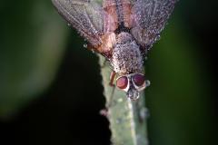 Bernard_Legros-OIL-09_2021-04