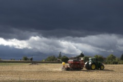 Catherine-Hauts-dAmpuis-