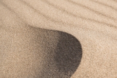 PE-PRADON_Libre221121_6