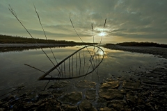 Philippe-ROUYER-Land-art-
