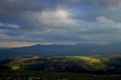 Suzanne-BISSARDON-Chaussan-69-