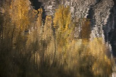 guy_brechon_reflet-1