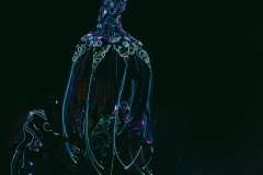 Cecile-Marpeau-elixir-etrange-meduse