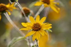 Ch-P_MG_0142