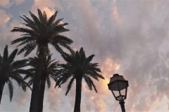 Eve-Giudice-IMG_20220815_202103