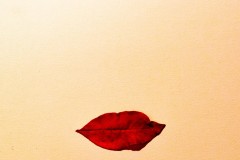 MC-Metamorphose