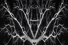 Philippe-R.-Chandelier