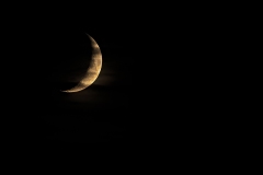 Sourire-de-la-lune-rousse-PR-