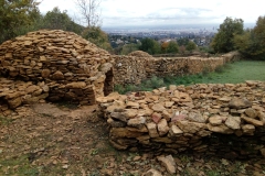 alain_forest_IMG_20201029_113752