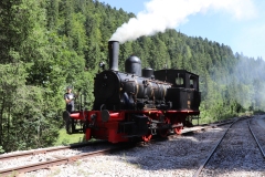 alain_forest_IMG_2526