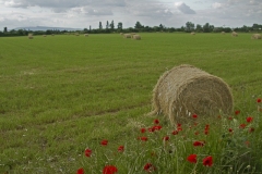 CHRISTIAN_PETER_MG_0760-Christian_PETER