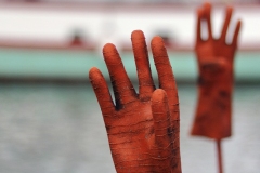 CHRISTIAN_VALENTIN_IMG_0405_turballe_LIR4