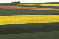 CHRISTIAN_VALENTIN_IMG_2540_