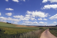 CHRISTIAN_VALENTIN_IMG_7730_