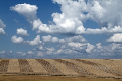 CHRISTIAN_VALENTIN_MG_1242_