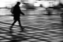 CHRISTIAN_VALENTIN_MG_4924_Damier
