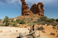 DANIEL_MORIN_01_DSC0042_arche