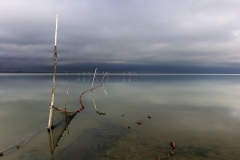 DANIEL_MORIN_D3X4966_etang_2-3_-_Copie