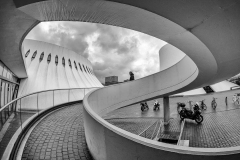 DANIEL_MORIN_DSF2943_Le_Havre_club