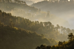 DANIEL_MORIN__D3X0594_paysage