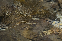 DAVID_BERTHELOT_DSC1773_20170610_135823