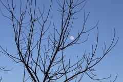 ELOISE_LAPRESTEY_IMG_0991