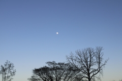 ELOISE_LAPRESTEY_IMG_1031