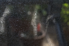 FLEURY_CHEVALIER_03_DSC1903-1