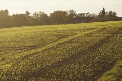 FRANCOIS_JACQUIER_DSC00112-Francois