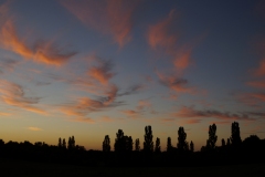 FRANCOIS_JACQUIER_DSC1801-Francois