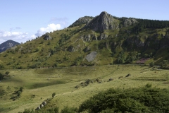 GENEVIEVE_ROME_IMG0087__001-Mezenc