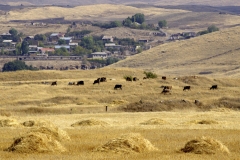 GENEVIEVE_ROME_IMG3834R1_Genevieve_Rome_Armenie_005