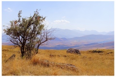 GERARD_SANZEY_03-ger-sanzey