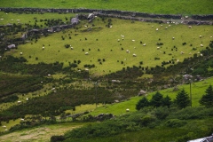 GUY_BRECHON_IMG003-guy-brechon