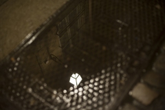 GUY_BRECHON__photo_76