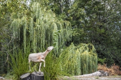 HELENE_FARADJI_DSC0137