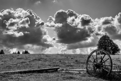 HELENE_FARADJI_DSC9618