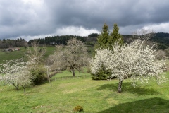 JEAN_LUC_BOUCAUD_D01