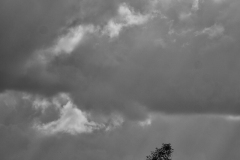 JEAN_LUC_BOUCAUD_DSC4178-Modifier