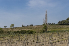 JEAN_LUC_BOUCAUD__D03