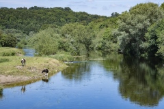 JEAN_LUC_BOUCAUD__D04