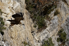 JEAN_LUC_LEBLANC_DSC0648