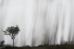 JEAN_LUC_LEBLANC_DSC1453