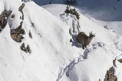JEAN_LUC_LEBLANC_DSC6719