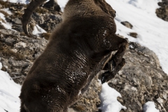 JEAN_LUC_LEBLANC_DSC6900