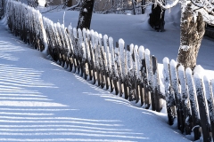 JEAN_LUC_LEBLANC_DSC7001