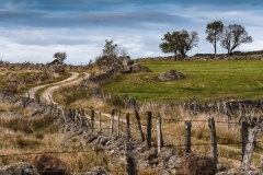 JEAN_LUC_LEBLANC_NAS_1_017-02