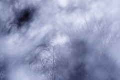 JEAN_LUC_LEBLANC_hiver_flou_DSC2616-OILYON