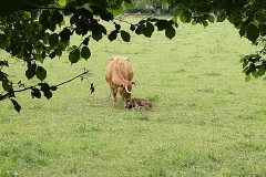 JEAN_MICHEL_LEVERNE_IMG004-JMichel_Leverne